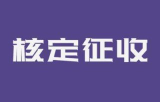成都申請企業(yè)所得稅核定征收需要什么條件?